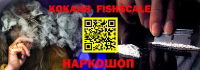 тгк Новозыбков