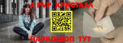 тгк Новозыбков
