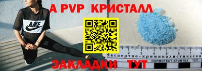 тгк Новозыбков