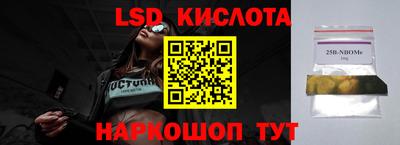 гидропоника Новокубанск