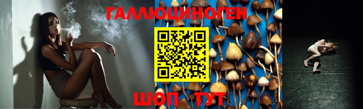 Галлюциногенные грибы Psilocybine cubensis  Вход с VPN  Скопин  где можно купить наркотик  Галлюциногенные грибы MAGIC MUSHROOMS 